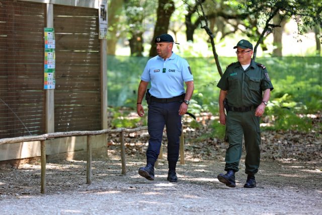 GNR abre três vagas para guarda-florestal em Barcelos