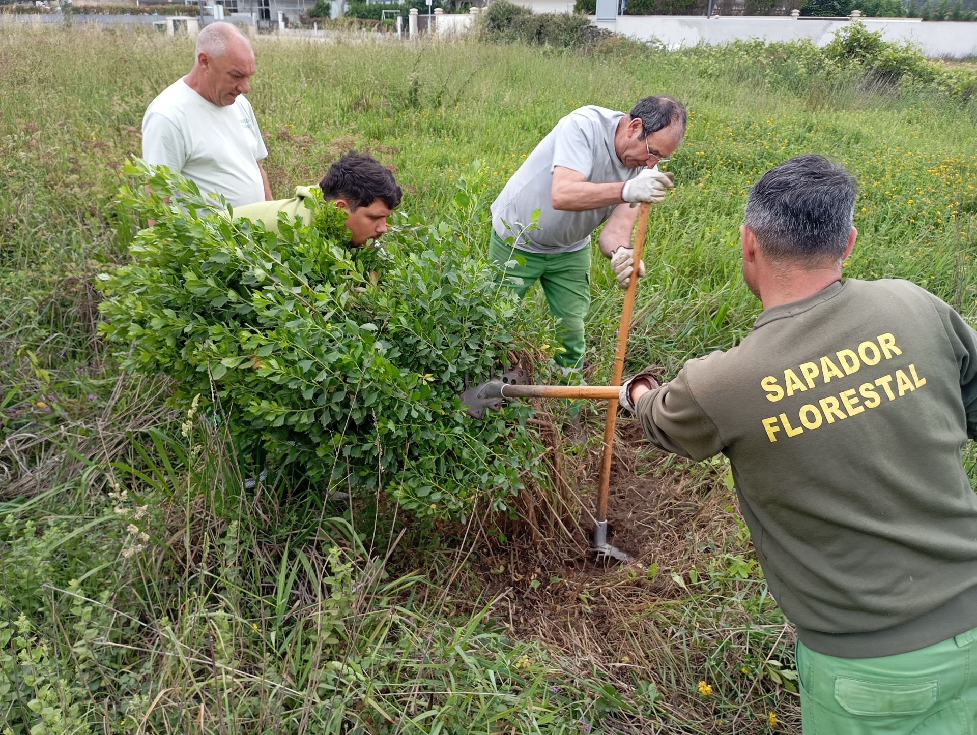Esposende mantém compromisso ativo no combate às espécies invasoras
