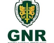 Operação  Artémis 2025/2026  – Cerca de 11 mil caçadores fiscalizados e 133 detenções por caça ilegal